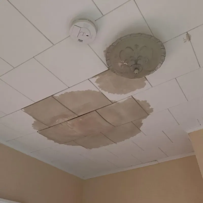 Ceiling Water Damage Repair in Yardley, PA